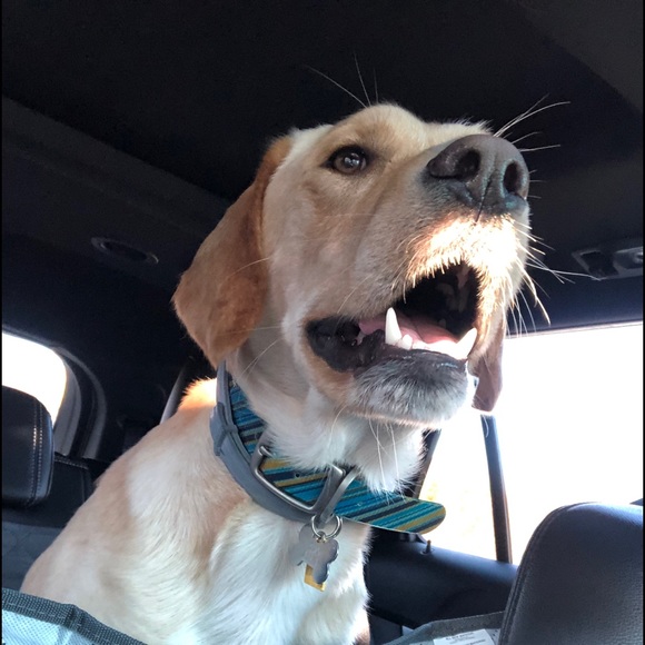 Meet your Posher, Jill - Picture 1 of 1